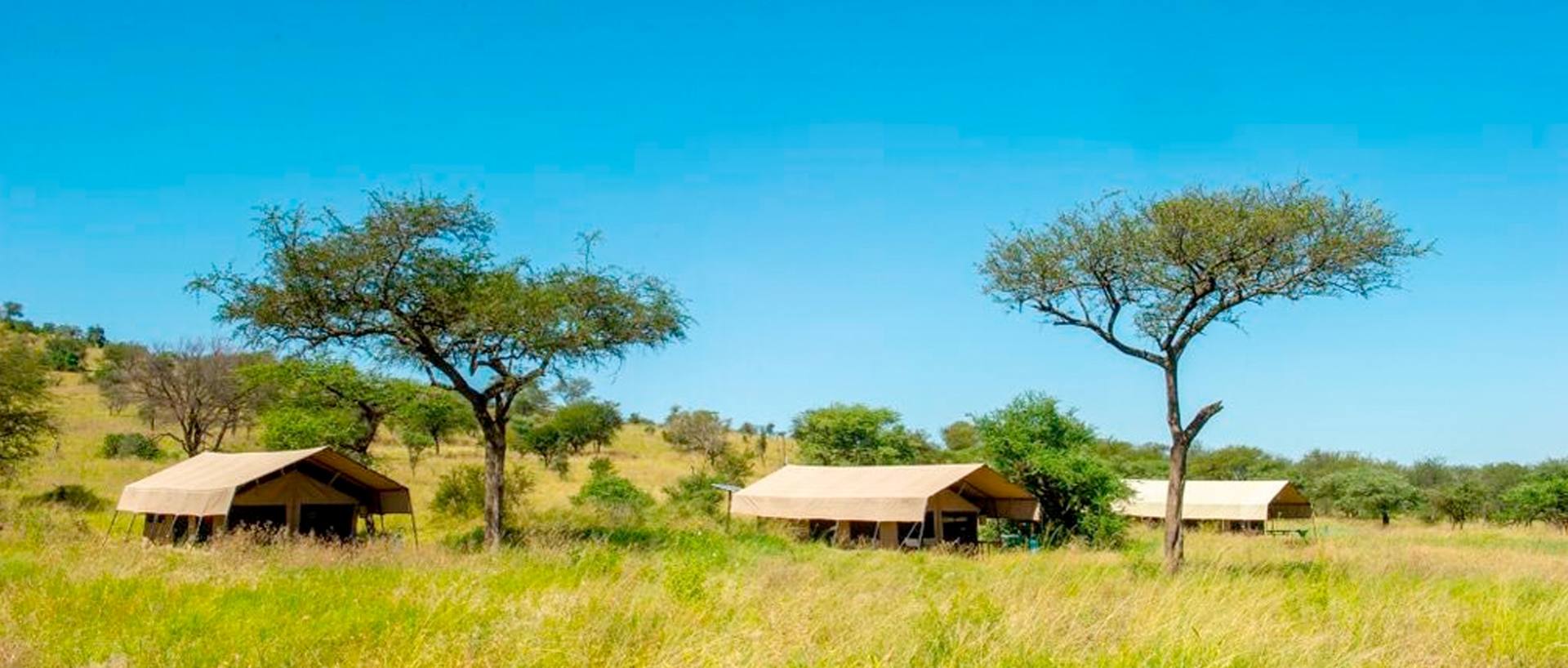 Dove dormire in Tanzania e Zanzibar: Lodge, Campi Tendati e Resort