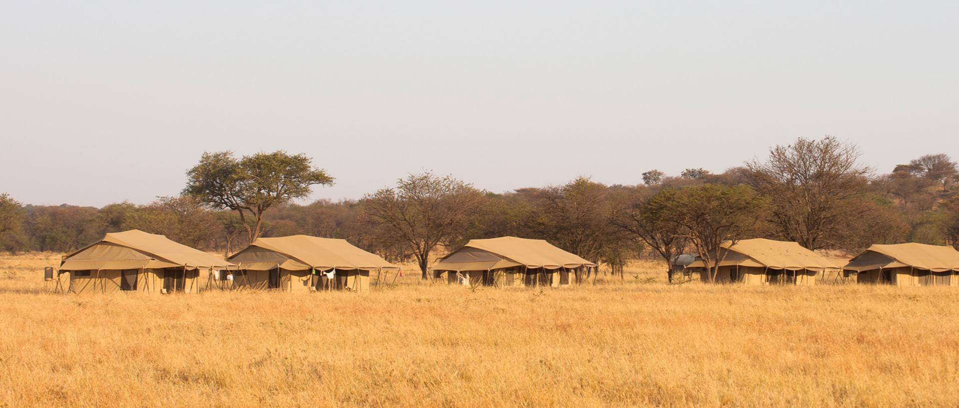 Dove dormire in Tanzania e Zanzibar: Lodge, Campi Tendati e Resort