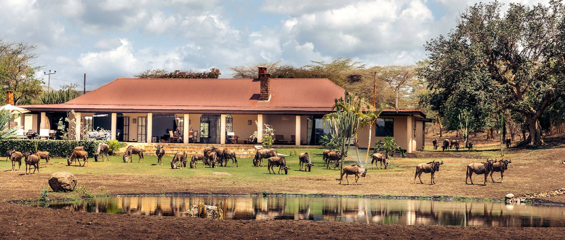 Dove dormire in Tanzania e Zanzibar: Lodge, Campi Tendati e Resort