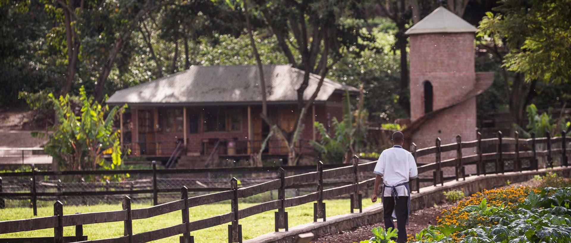 Dove dormire in Tanzania e Zanzibar: Lodge, Campi Tendati e Resort