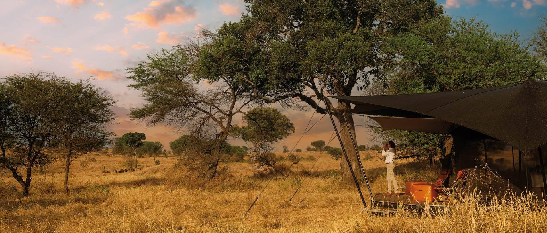 Dove dormire in Tanzania e Zanzibar: Lodge, Campi Tendati e Resort