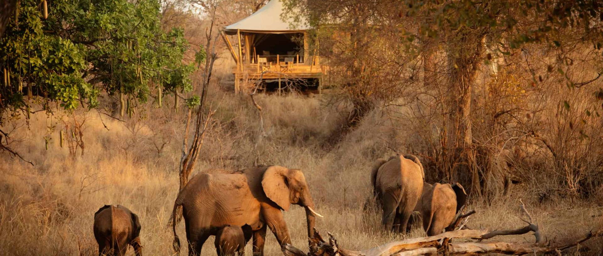 Dove dormire in Tanzania e Zanzibar: Lodge, Campi Tendati e Resort