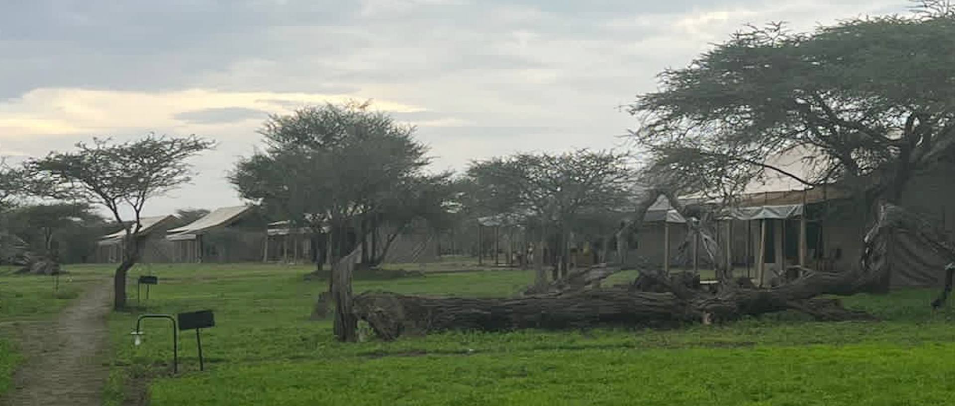 Dove dormire in Tanzania e Zanzibar: Lodge, Campi Tendati e Resort