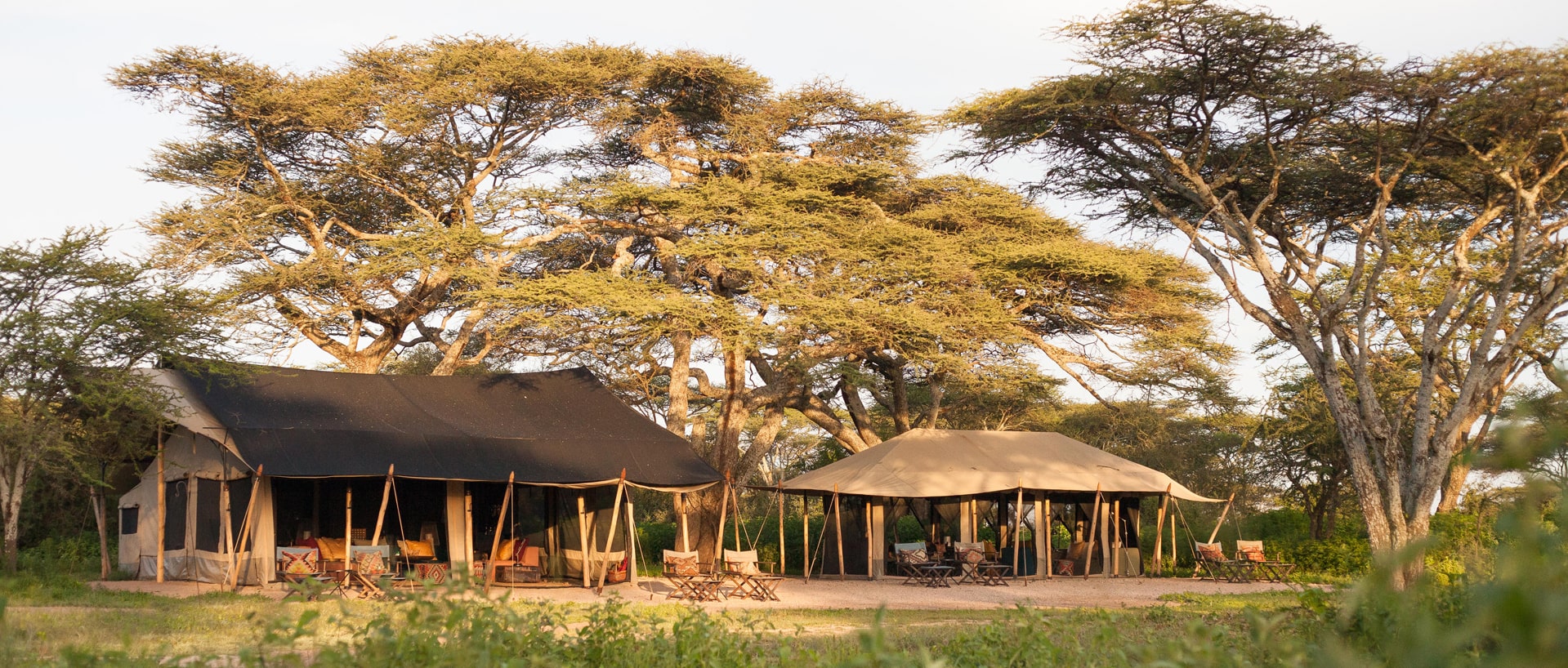 Dove dormire in Tanzania e Zanzibar: Lodge, Campi Tendati e Resort