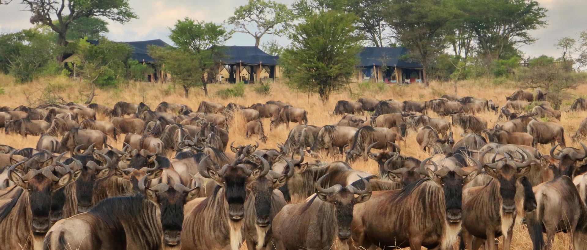 Dove dormire in Tanzania e Zanzibar: Lodge, Campi Tendati e Resort