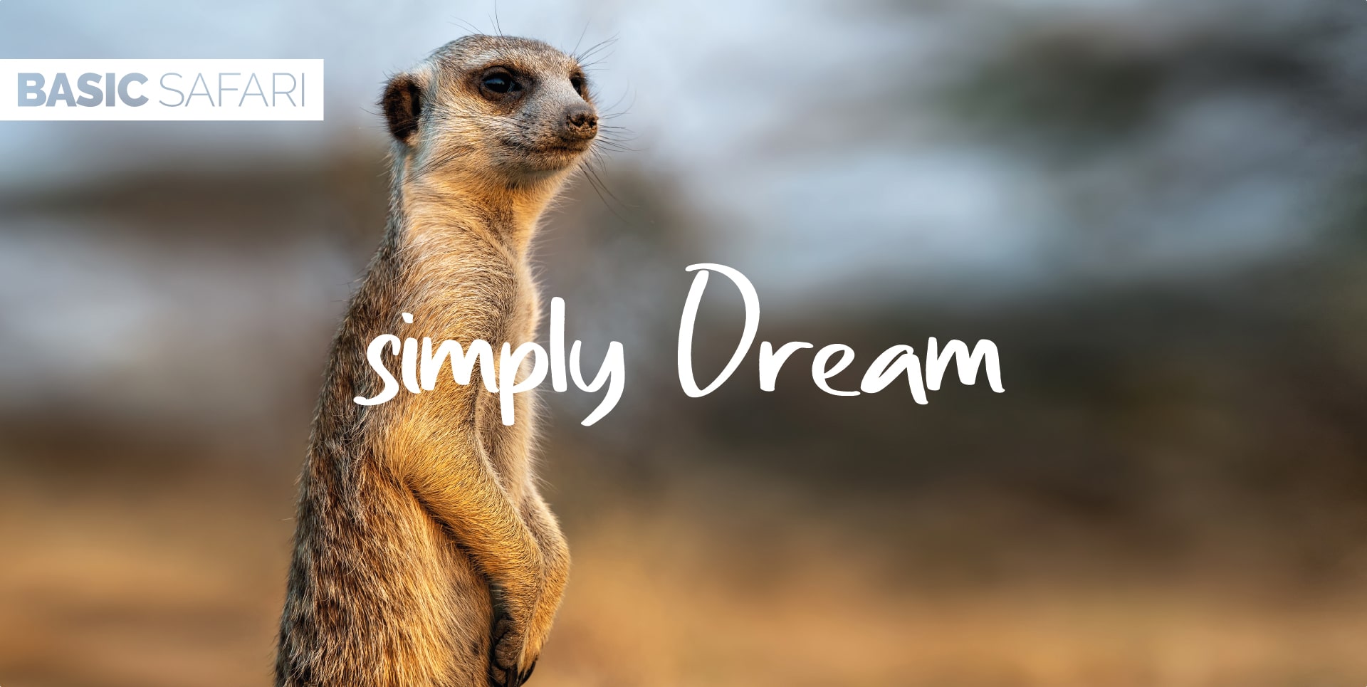 Safari Tanzania Tour Simply Dream suricato sentinella che controlla la presenza di predatori