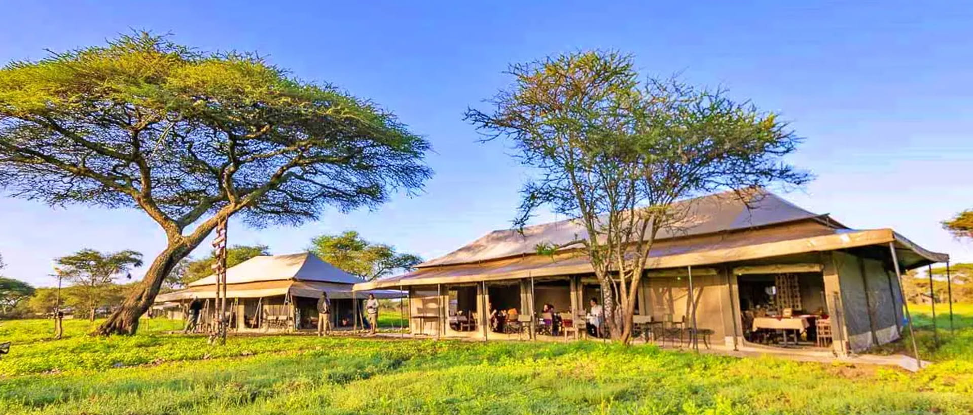 Dove dormire in Tanzania e Zanzibar: Lodge, Campi Tendati e Resort